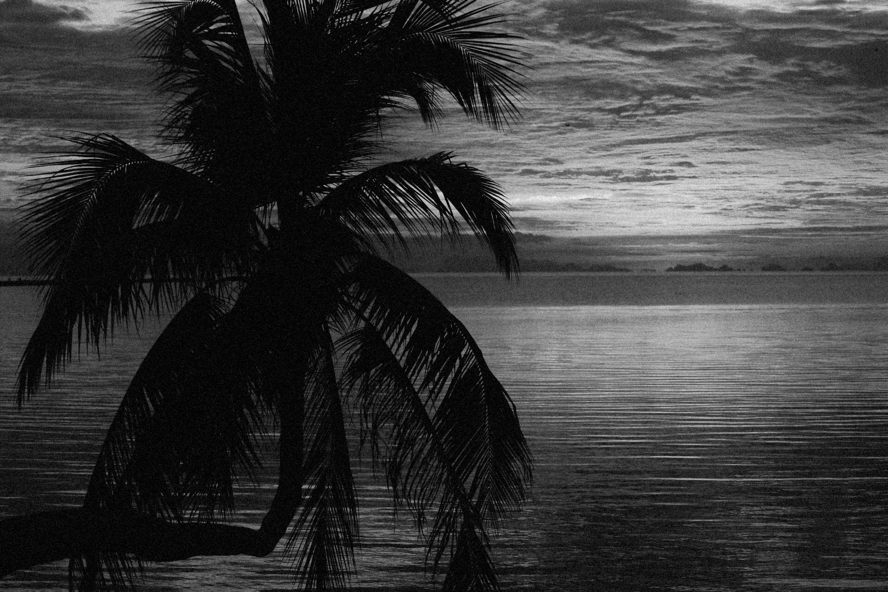 Photo by alexeydemidov