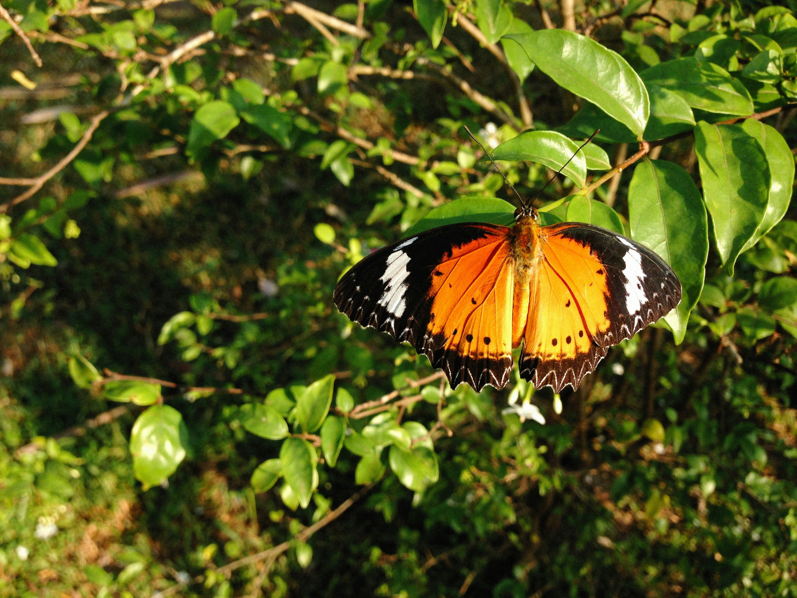 Photo by alexeydemidov