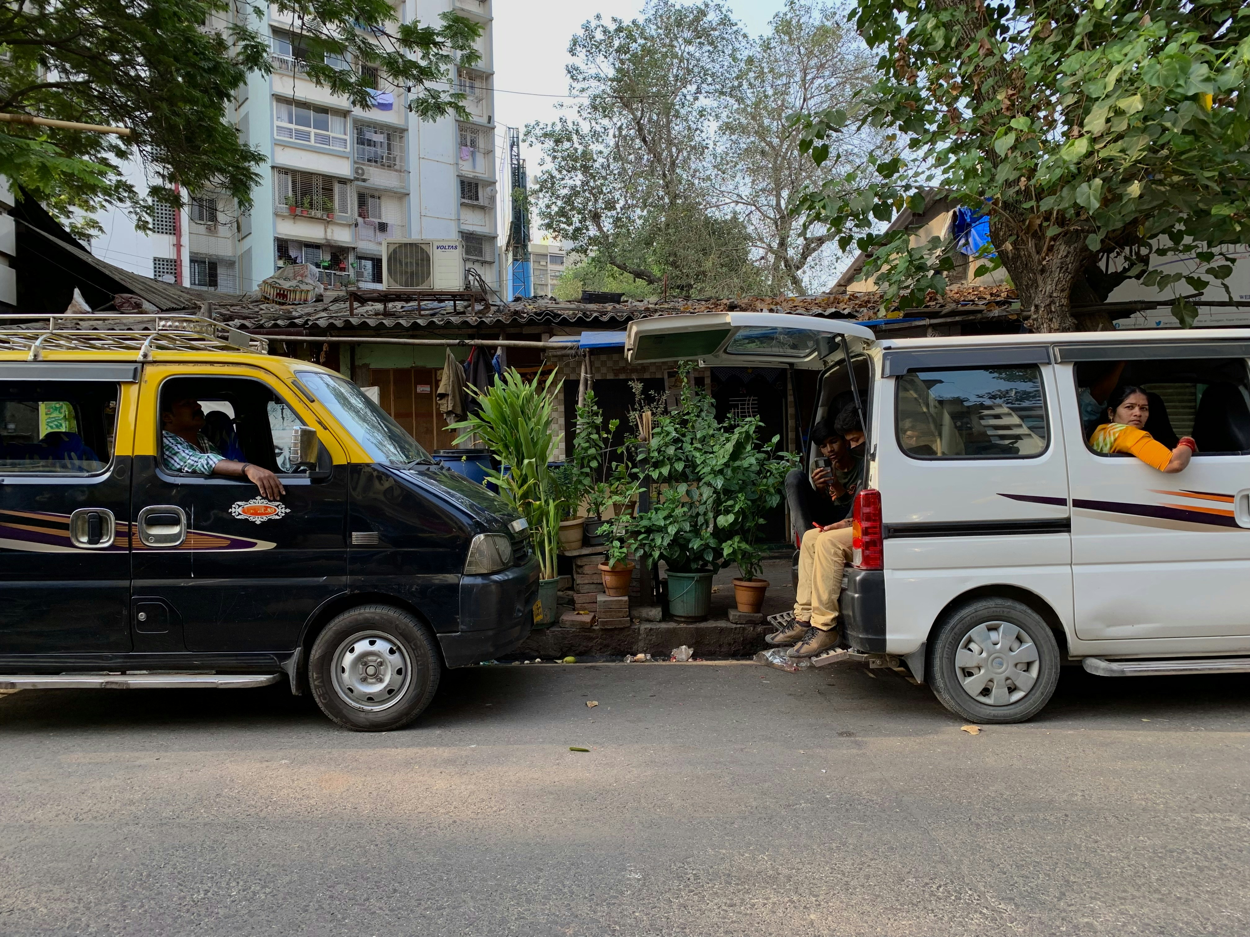 Plants crossing road