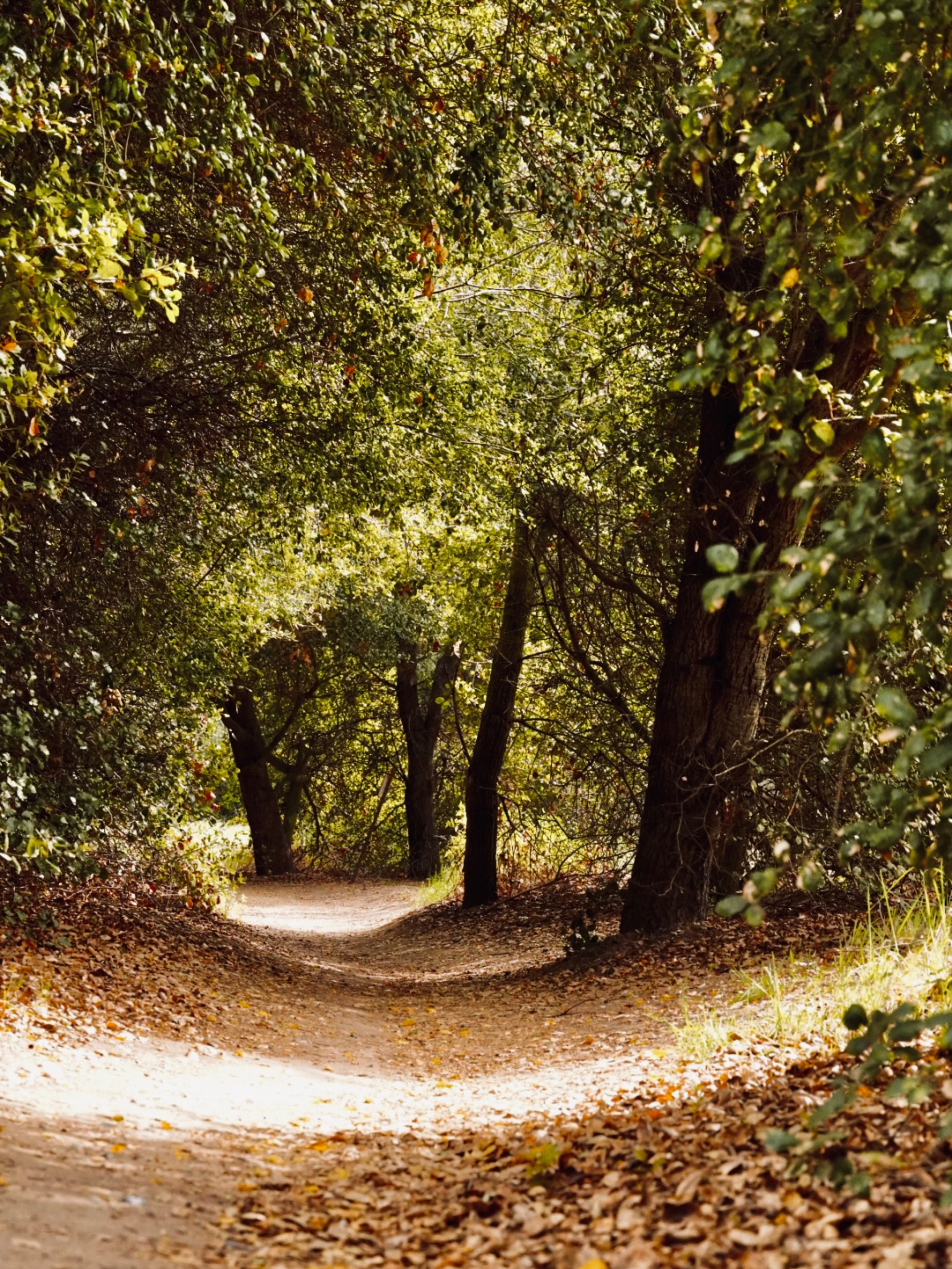 Photo by cdsaunders04