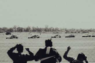 A dynamic image of car enthusiasts enjoying a race.