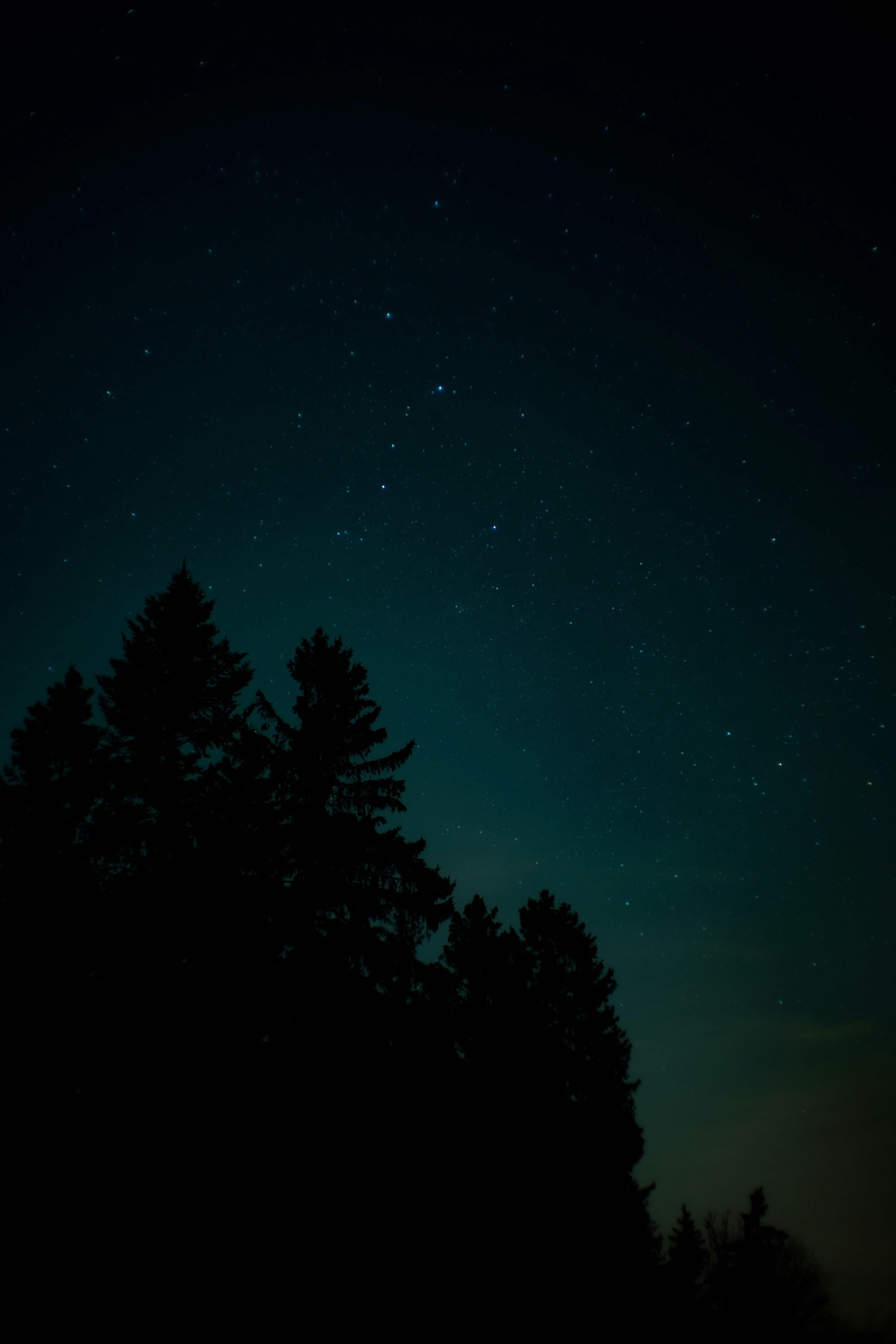 Photo by benaja_photos