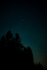 A serene ceremony scene with award recipients receiving honors under a starry night sky.
