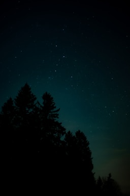 A serene night sky with stars twinkling above a calm natural landscape, reflecting the celestial theme.