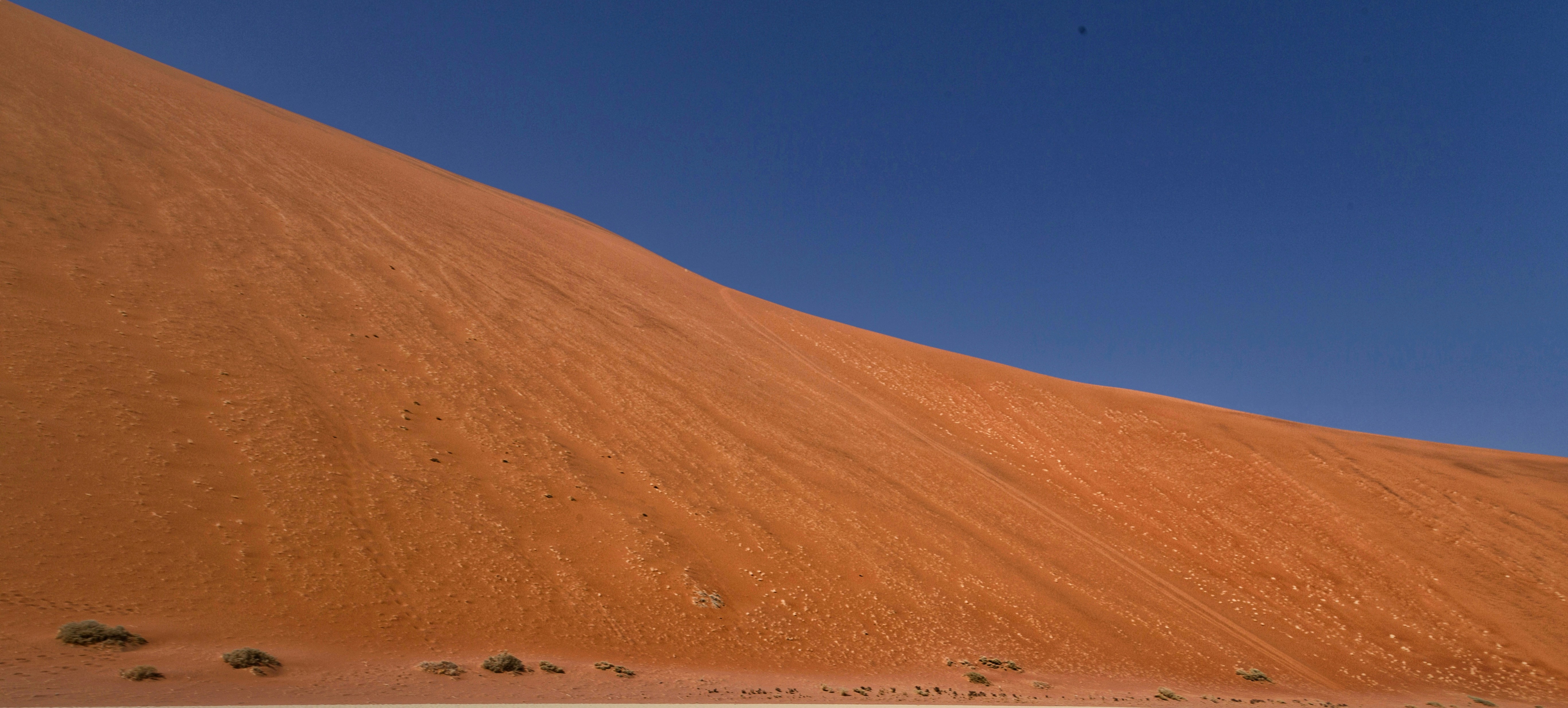 a man riding a surfboard on top of a sandy beach, Red dunes and blue sky in Namibia