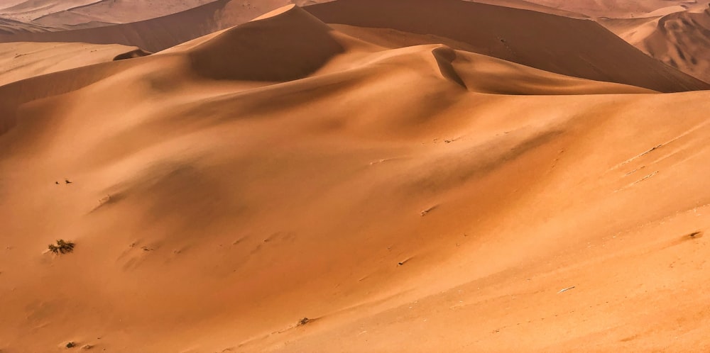 a group of sand dunes in the desert