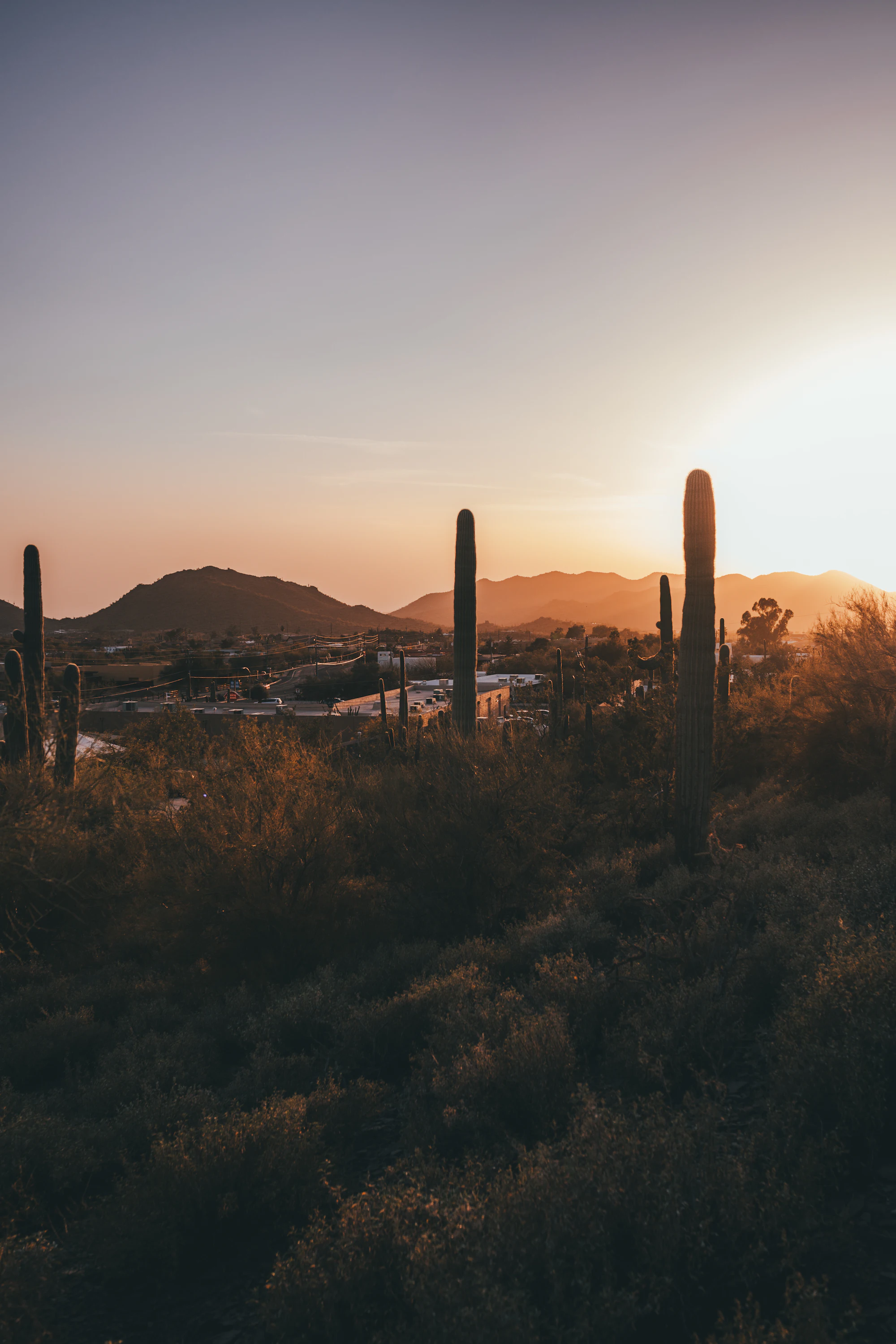 Arizona desert landscape at sunset near El Mirage