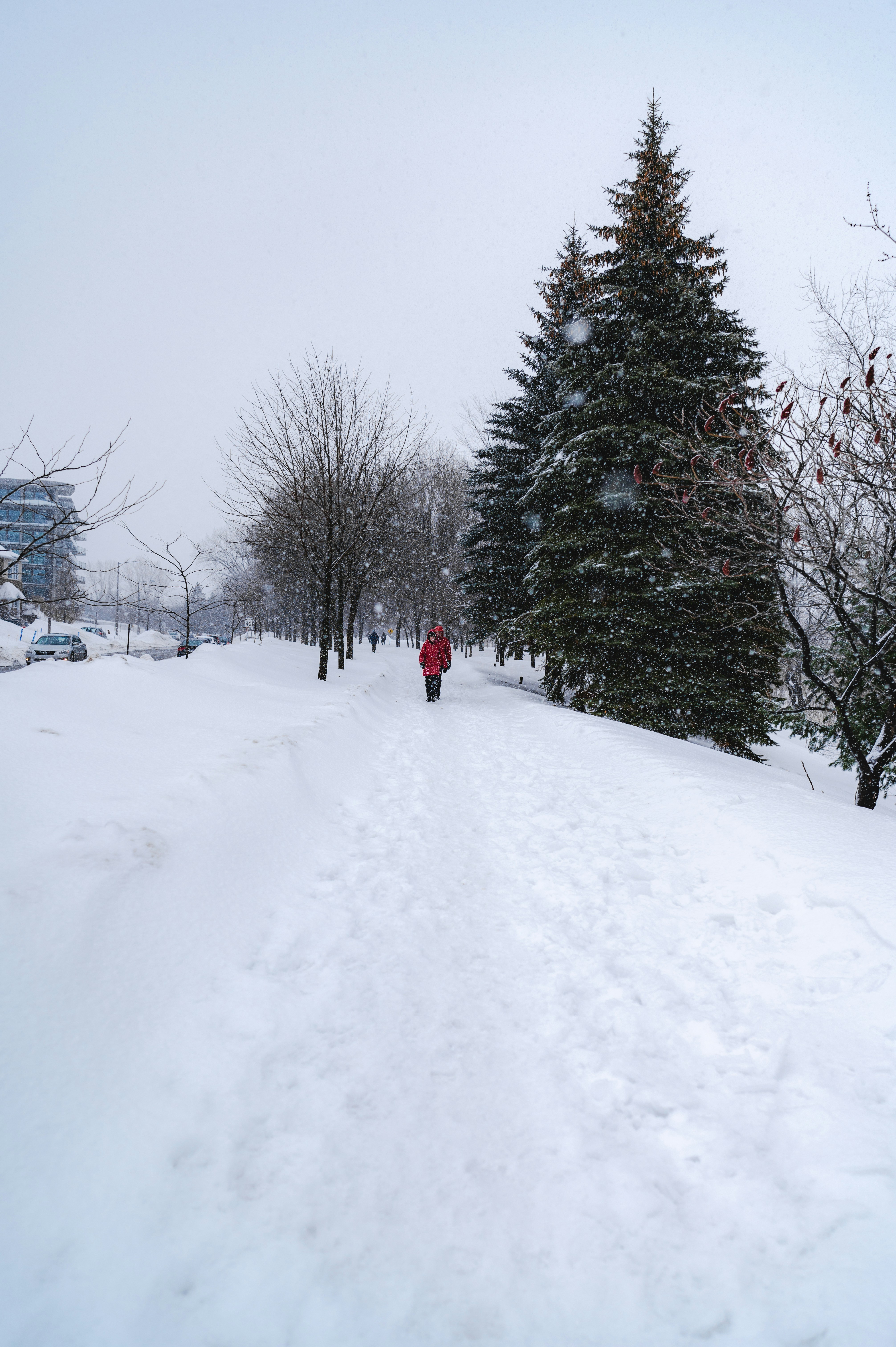 Photo by ryunosuke_kikuno