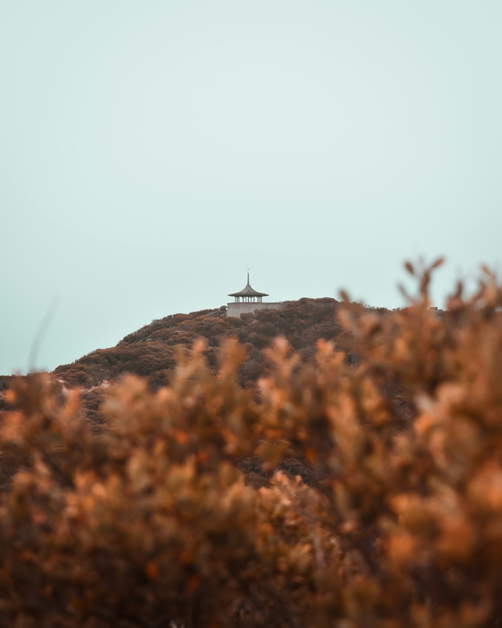 a hill with a small house on top of it