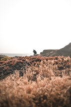 A person appears to be capturing a photograph or observing scenery while standing on a rocky, earthy terrain. The foreground is dominated by dried grasses and reddish-brown shrubs, suggesting a natural, rugged landscape. Bright, overcast lighting creates a high-contrast sky, which is prominently white.