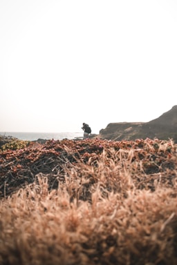 A person appears to be capturing a photograph or observing scenery while standing on a rocky, earthy terrain. The foreground is dominated by dried grasses and reddish-brown shrubs, suggesting a natural, rugged landscape. Bright, overcast lighting creates a high-contrast sky, which is prominently white.
