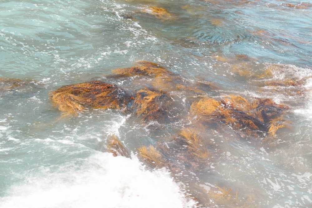 a body of water that has some rocks in it