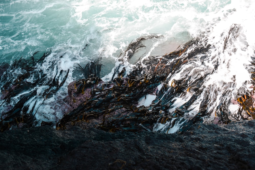 a wave crashing over a rocky shore next to the ocean