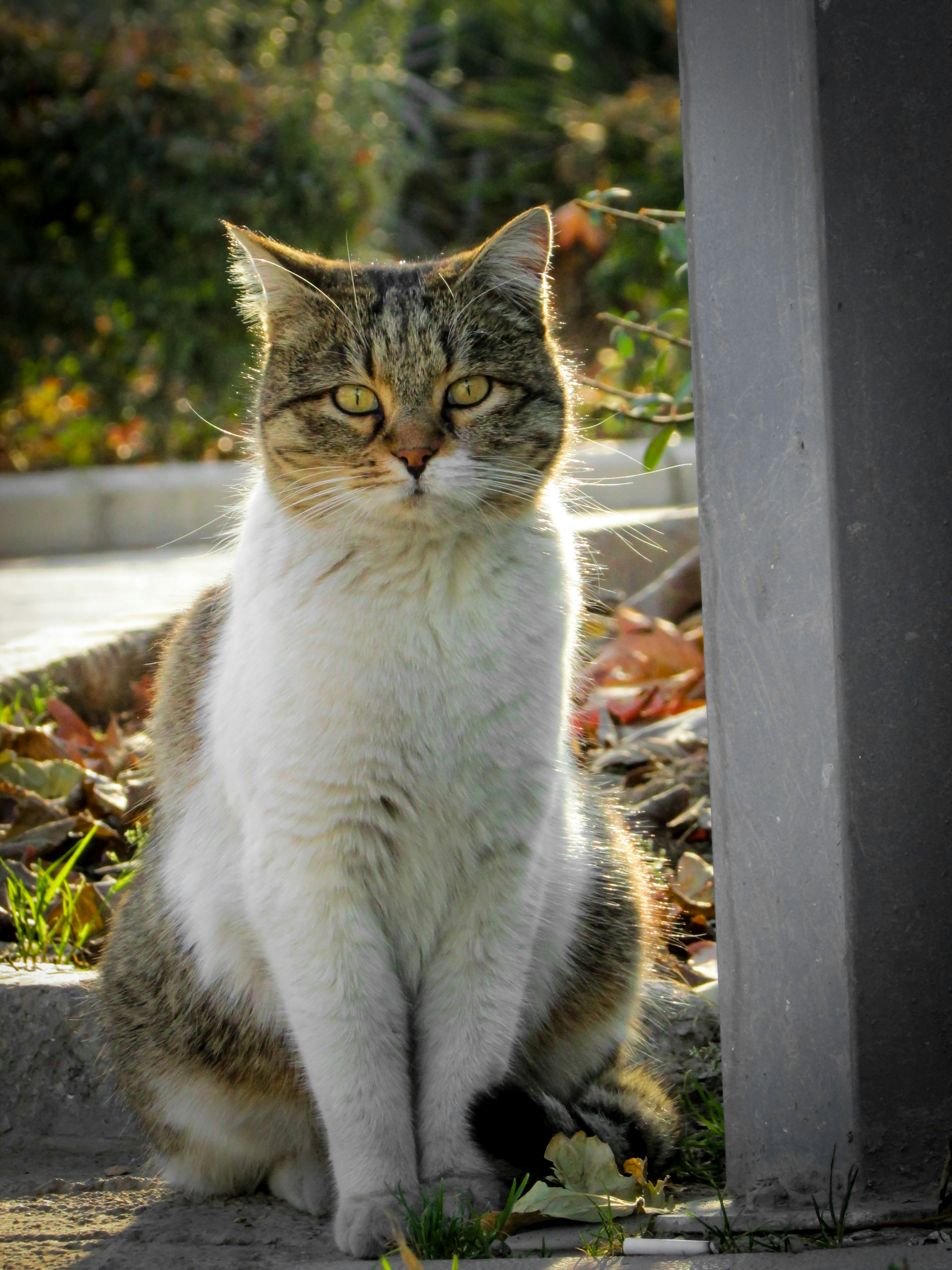 Photo by smohammadmeshkat