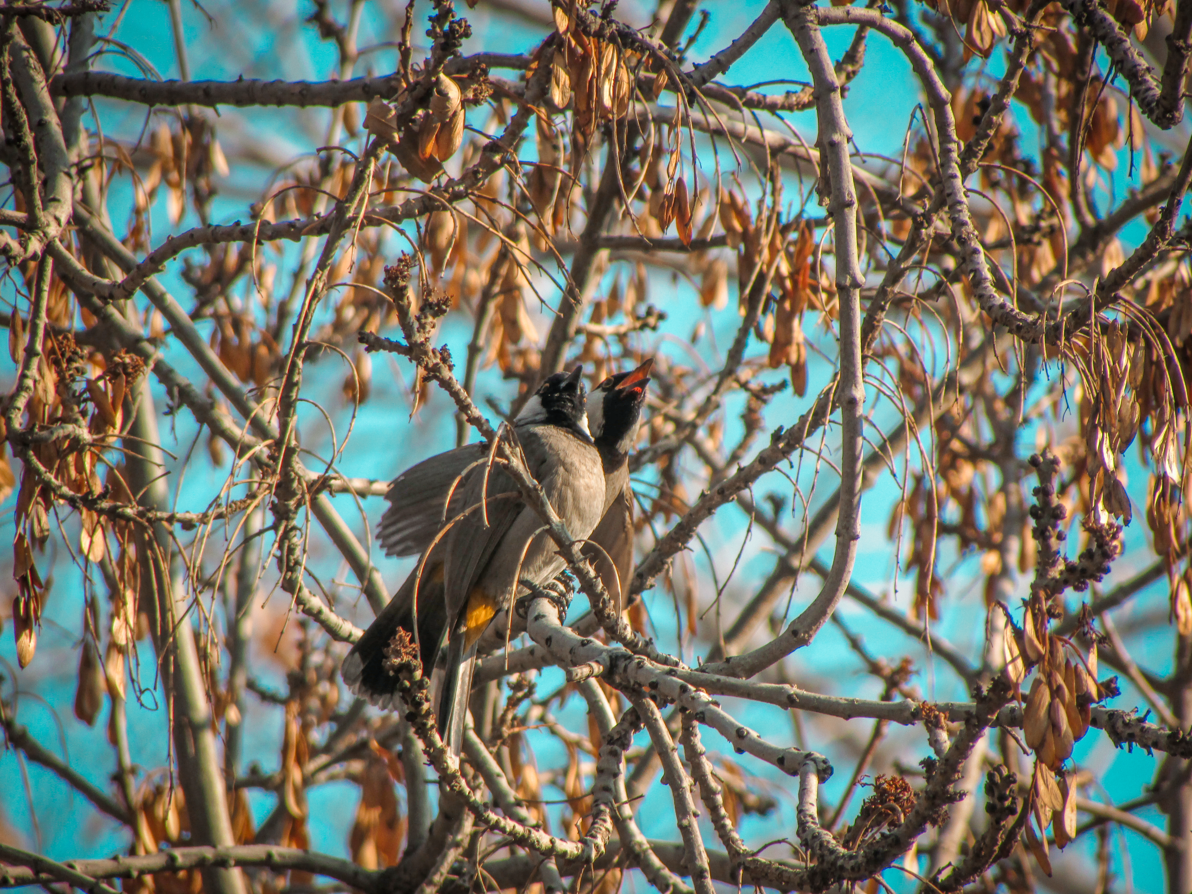 Photo by smohammadmeshkat