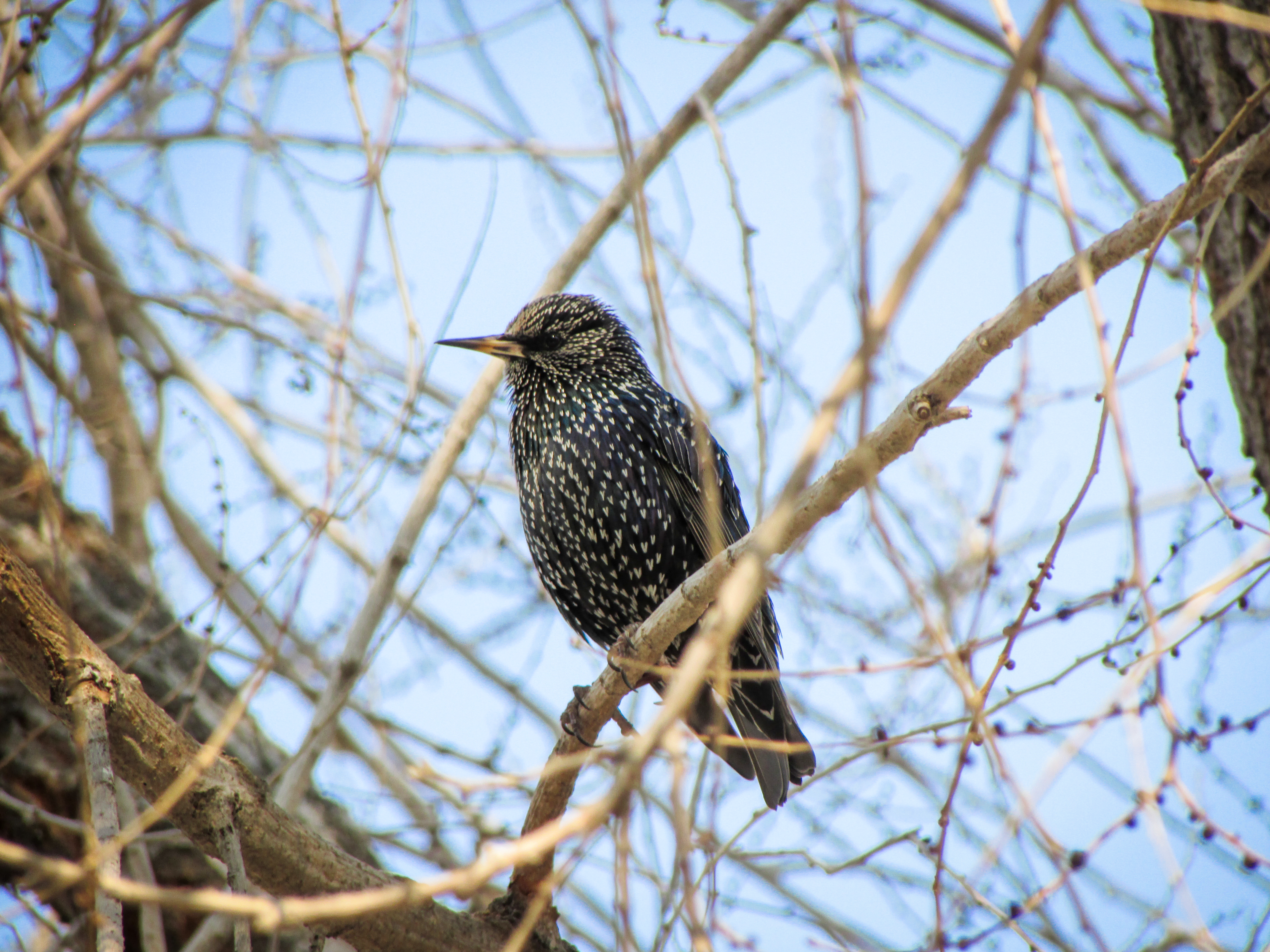 Photo by smohammadmeshkat