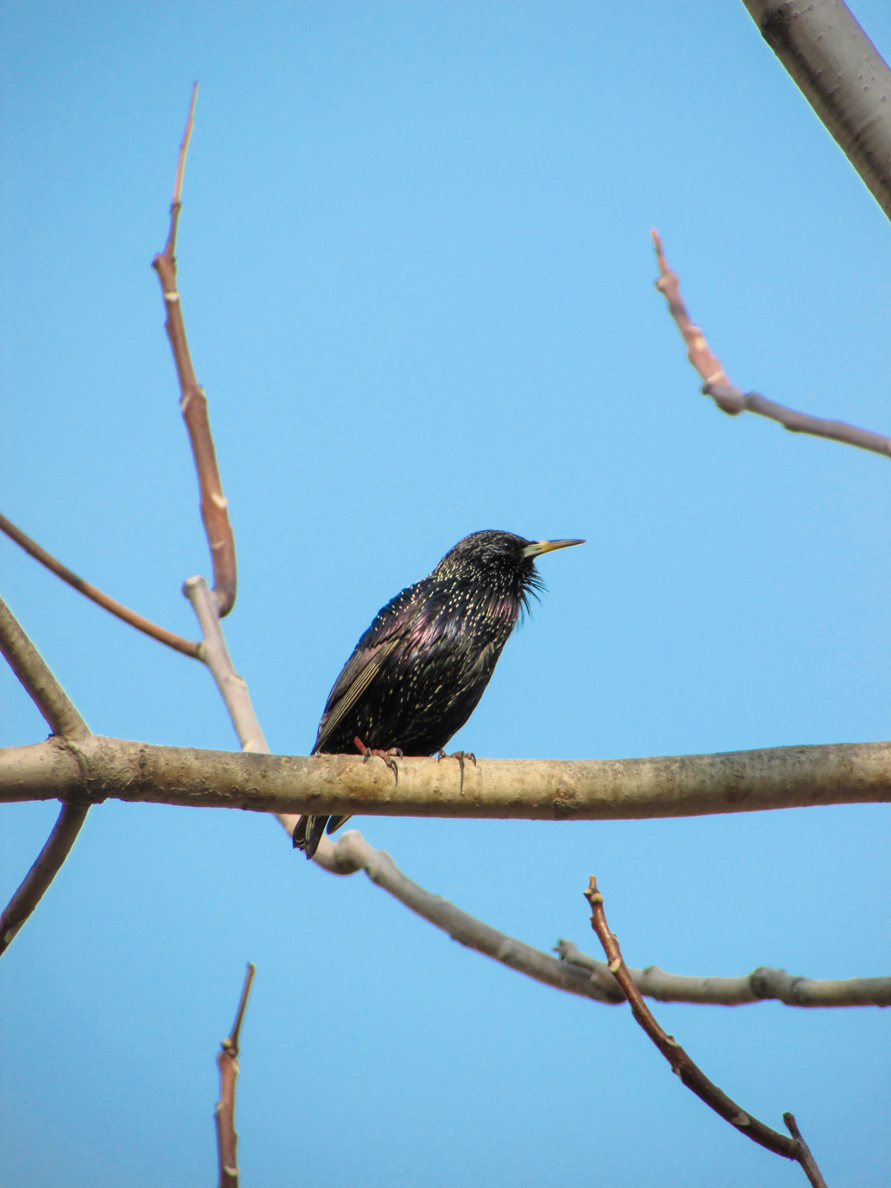 Photo by smohammadmeshkat