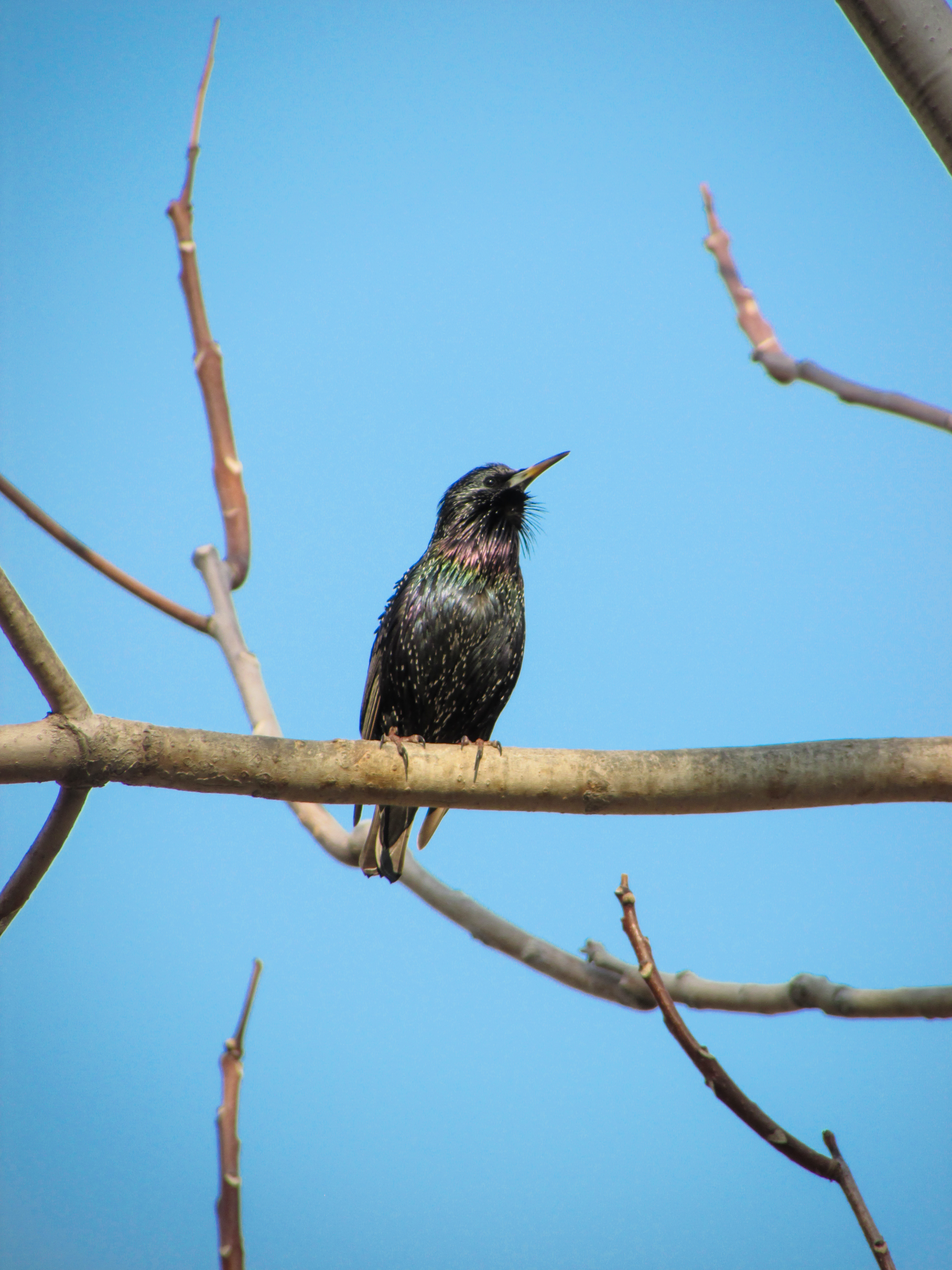 Photo by smohammadmeshkat