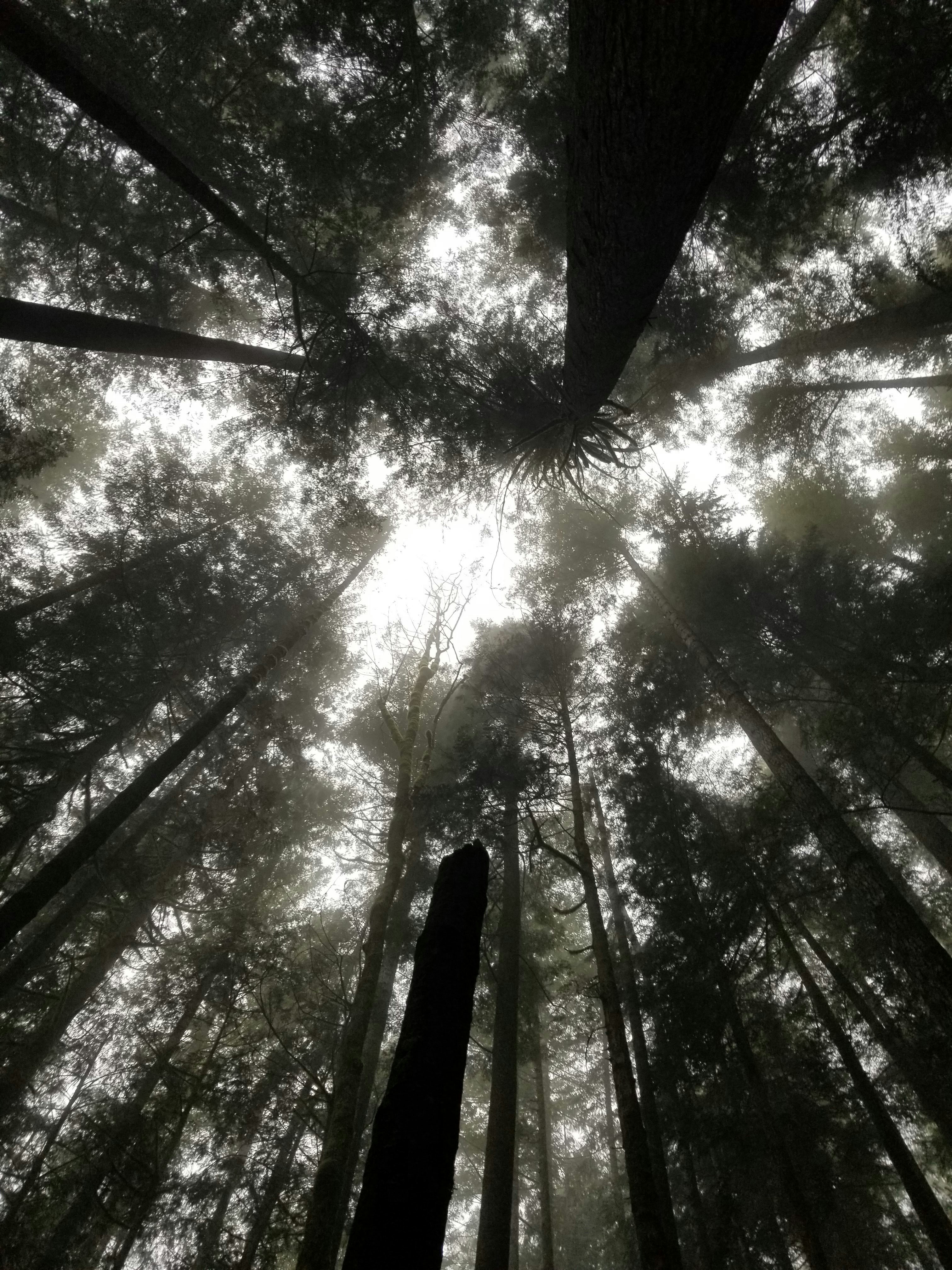 Photo by jeffrey_iii