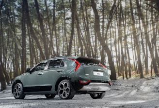 A modern SUV surrounded by nature.