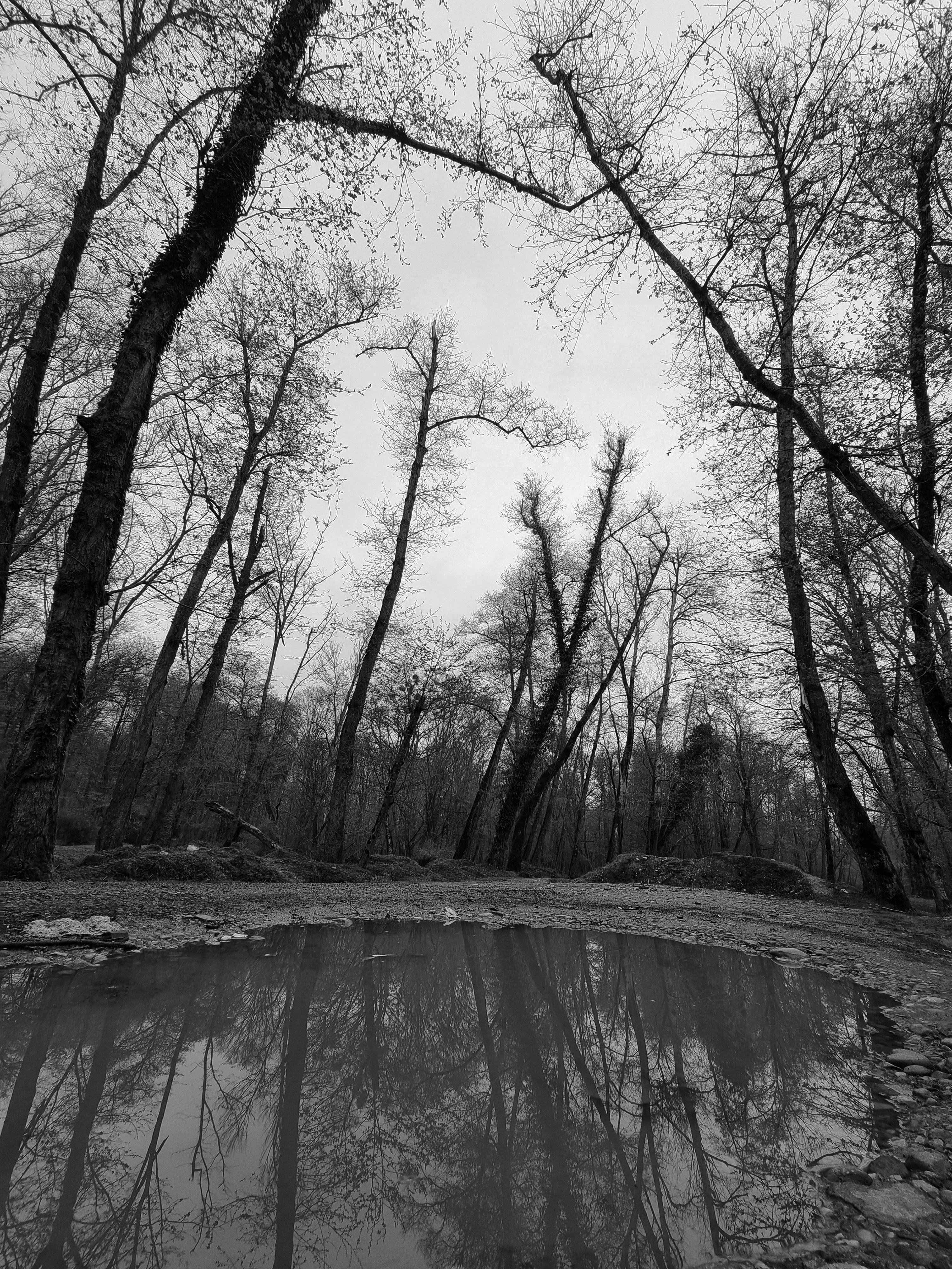 Photo by hadiershadi