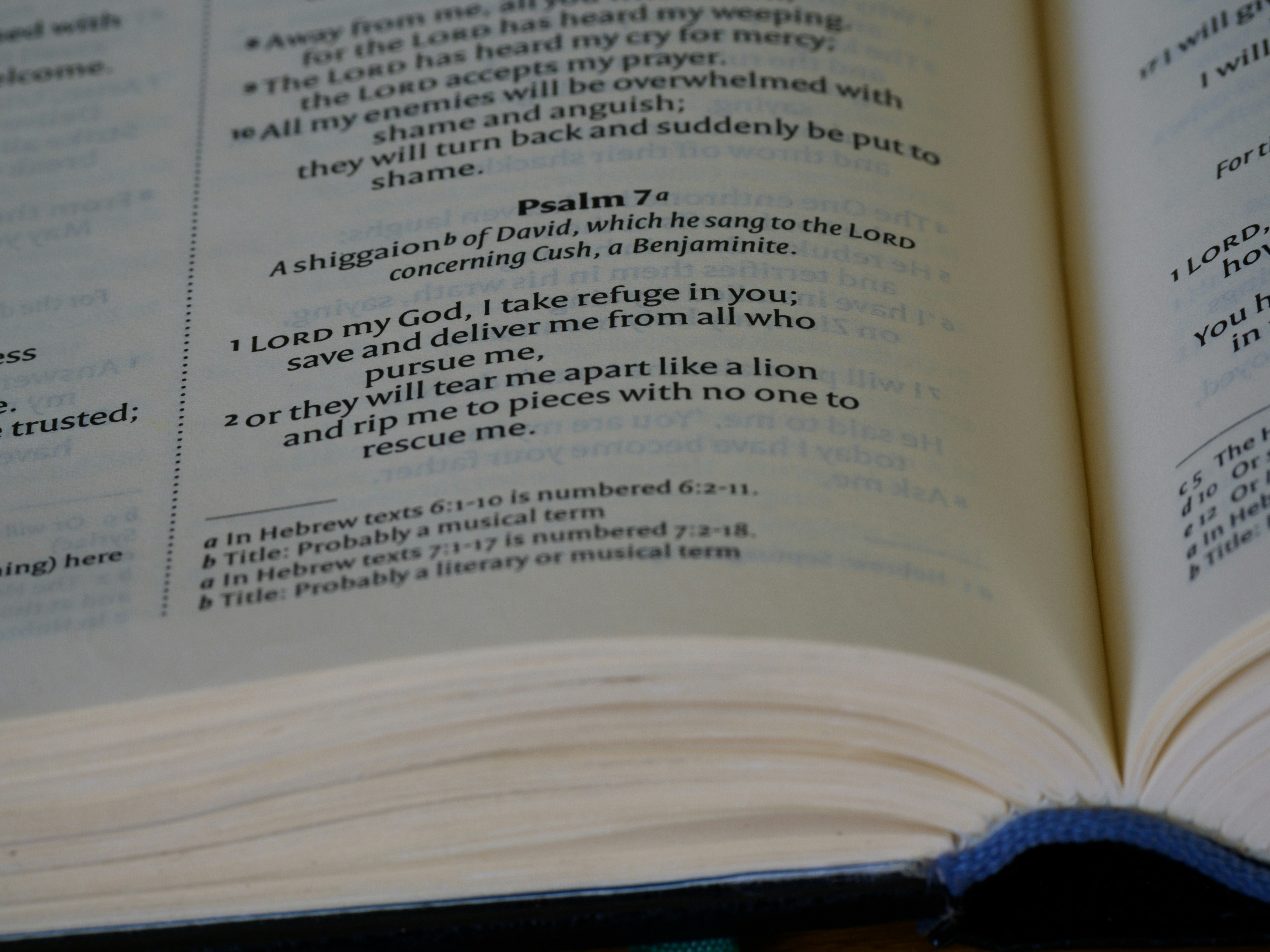 close up, bokeh, macro, blur, blurred background, close focus, bible, old testament, hebrew bible, christian, judaism, history, text, reading, bible study, devotions, text, NIV, New International Version, type, typography, canon, christianity, holy scripture, holy bible, scripture, old testament, hebrew bible, ??????????, psalms, psalter, ketuvim, writings, tanakh, king david, 
