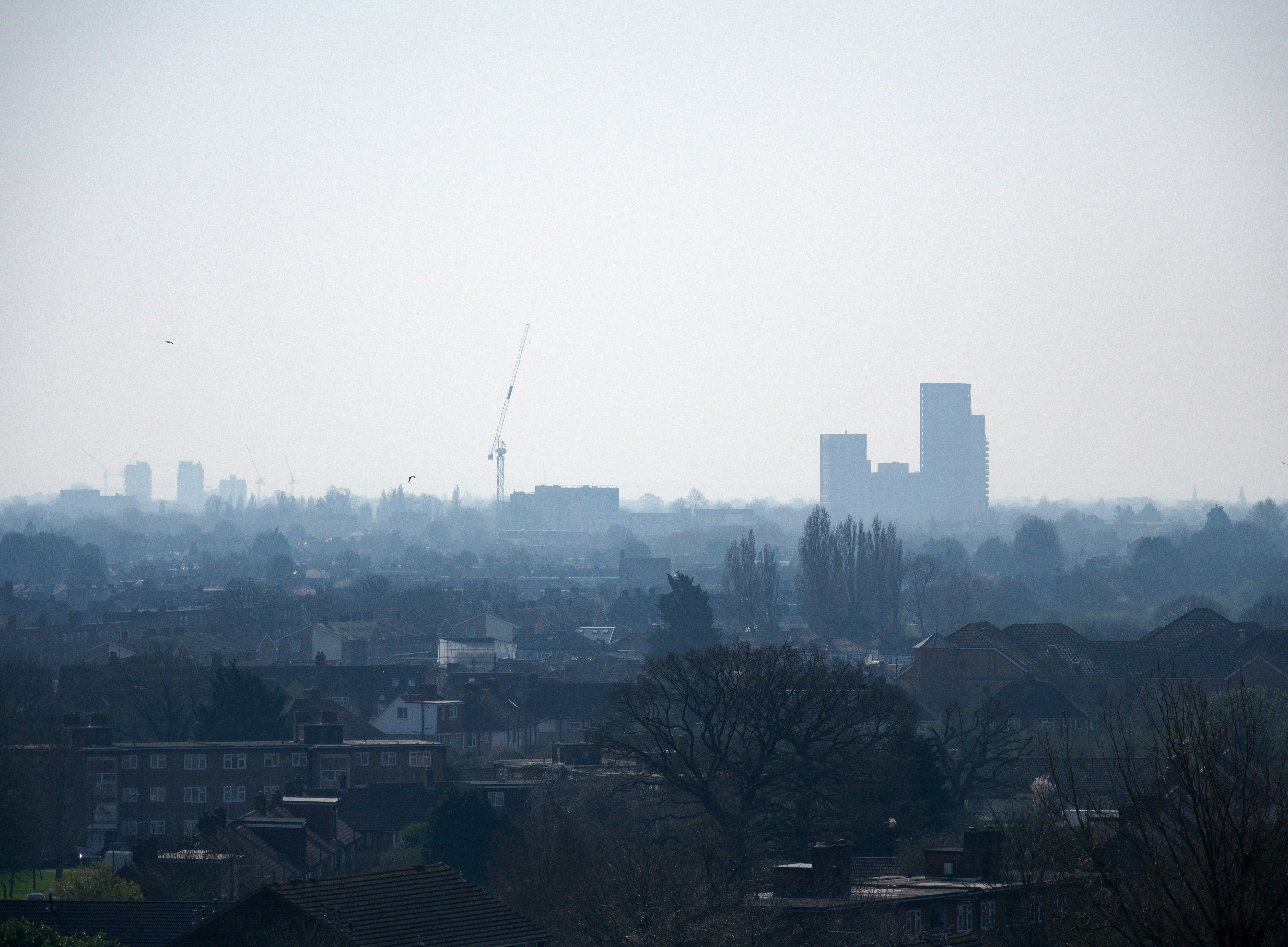 Photo by brett_jordan