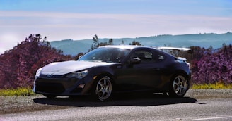 A sleek, classic GT car parked on a scenic European country road.