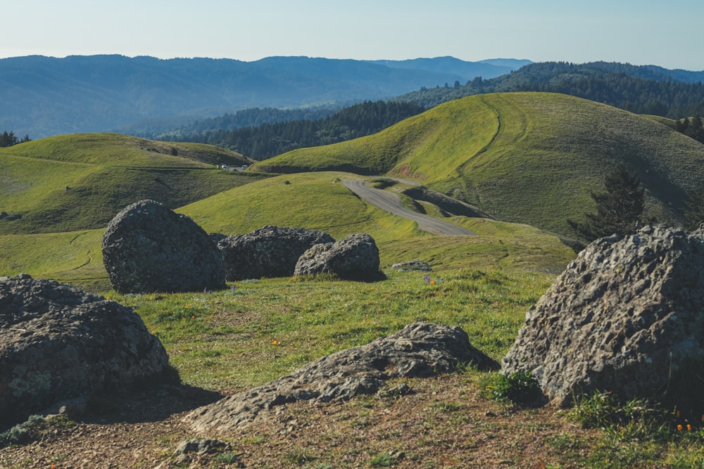 a grassy hill with large rocks and a dirt road