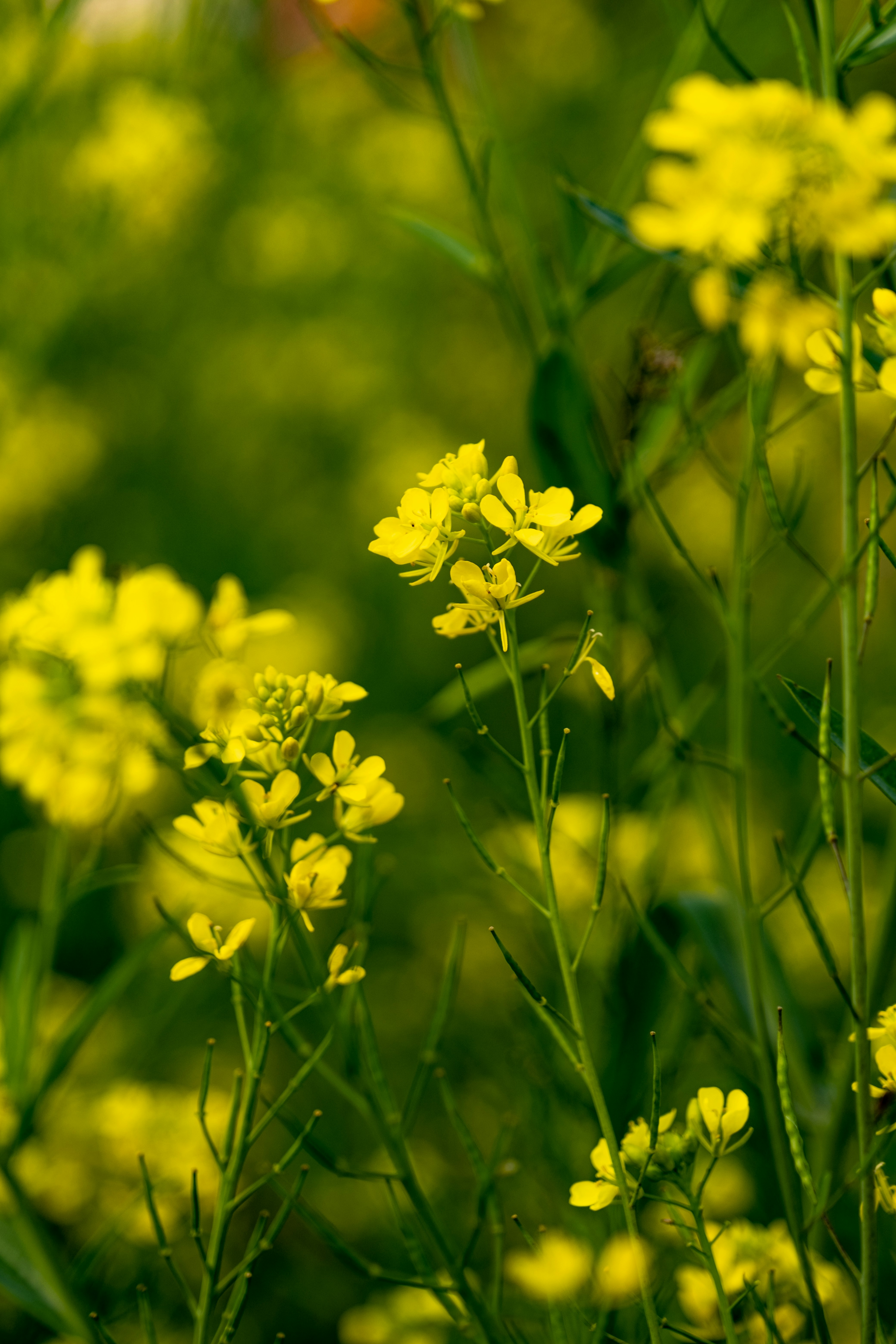 Photo by rohit_kumar_21