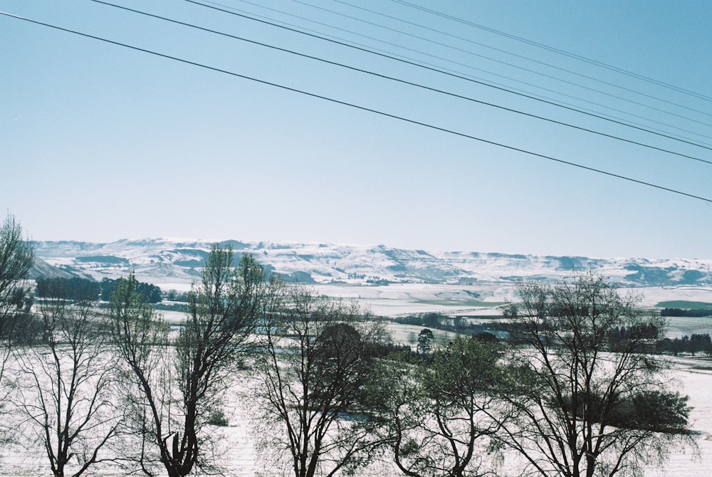 a snow covered field with power lines in the distance