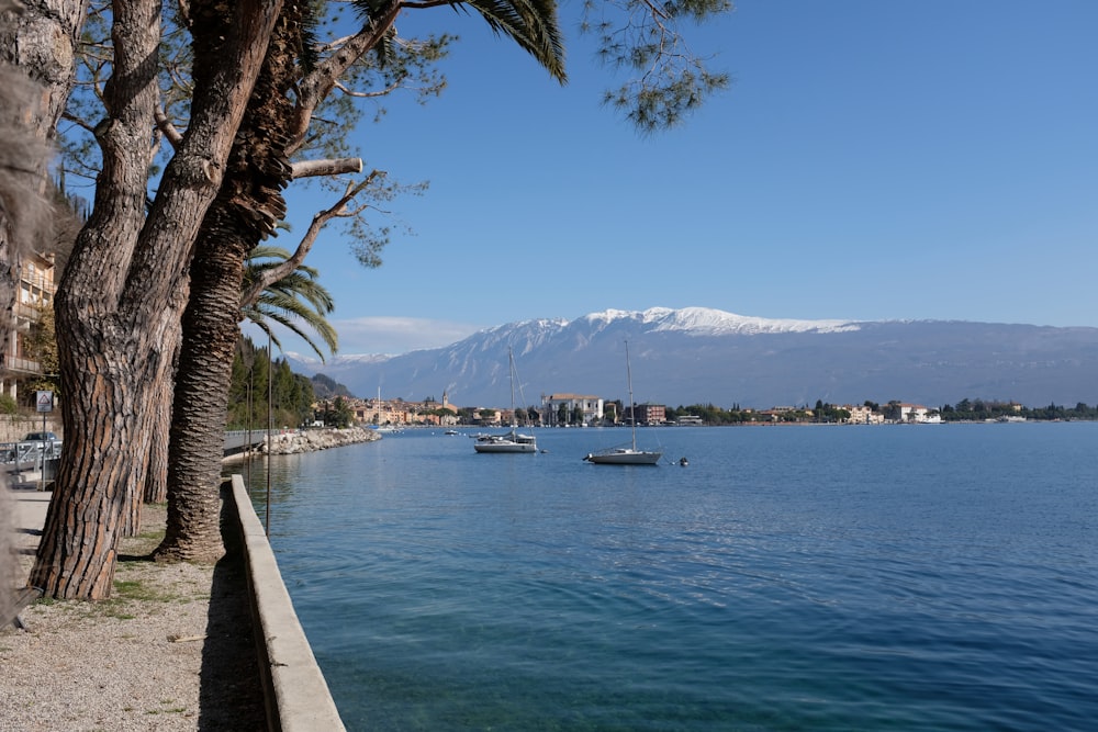 a body of water surrounded by trees and mountains