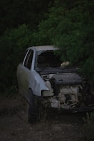 A damaged car with its front partially smashed and windows broken is parked amidst dense green foliage. The car's engine and other internal components are exposed, indicating significant wreckage. The vegetation surrounding the vehicle gives a wilderness-like feel.