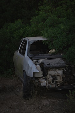 A damaged car with its front partially smashed and windows broken is parked amidst dense green foliage. The car's engine and other internal components are exposed, indicating significant wreckage. The vegetation surrounding the vehicle gives a wilderness-like feel.