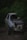 A damaged car with its front partially smashed and windows broken is parked amidst dense green foliage. The car's engine and other internal components are exposed, indicating significant wreckage. The vegetation surrounding the vehicle gives a wilderness-like feel.