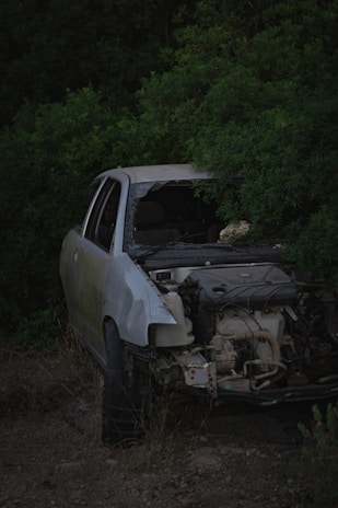 A damaged car with its front partially smashed and windows broken is parked amidst dense green foliage. The car's engine and other internal components are exposed, indicating significant wreckage. The vegetation surrounding the vehicle gives a wilderness-like feel.