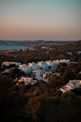 A hillside covered with white, modern-style buildings is surrounded by lush greenery. The buildings are bathed in warm, golden light, suggesting either dawn or dusk. The calm sea extends into the background while hills covered in trees fill the foreground and distance.