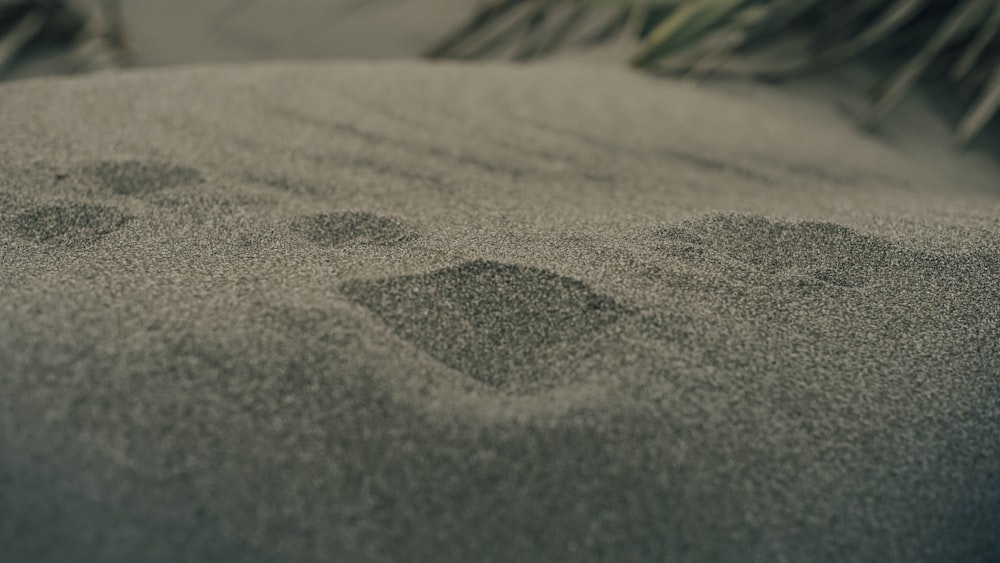 footprints in the sand of a beach