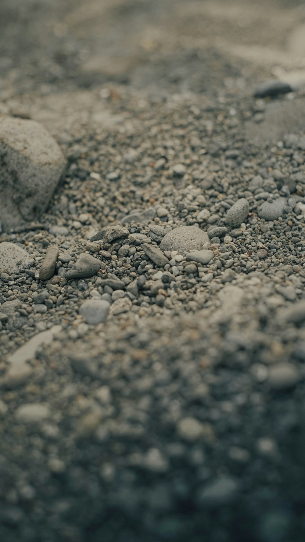 a close up of rocks and gravel on the ground