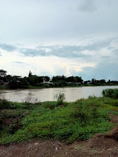The Nile River flowing gently beside the greenery of Gezira Island in Cairo.
