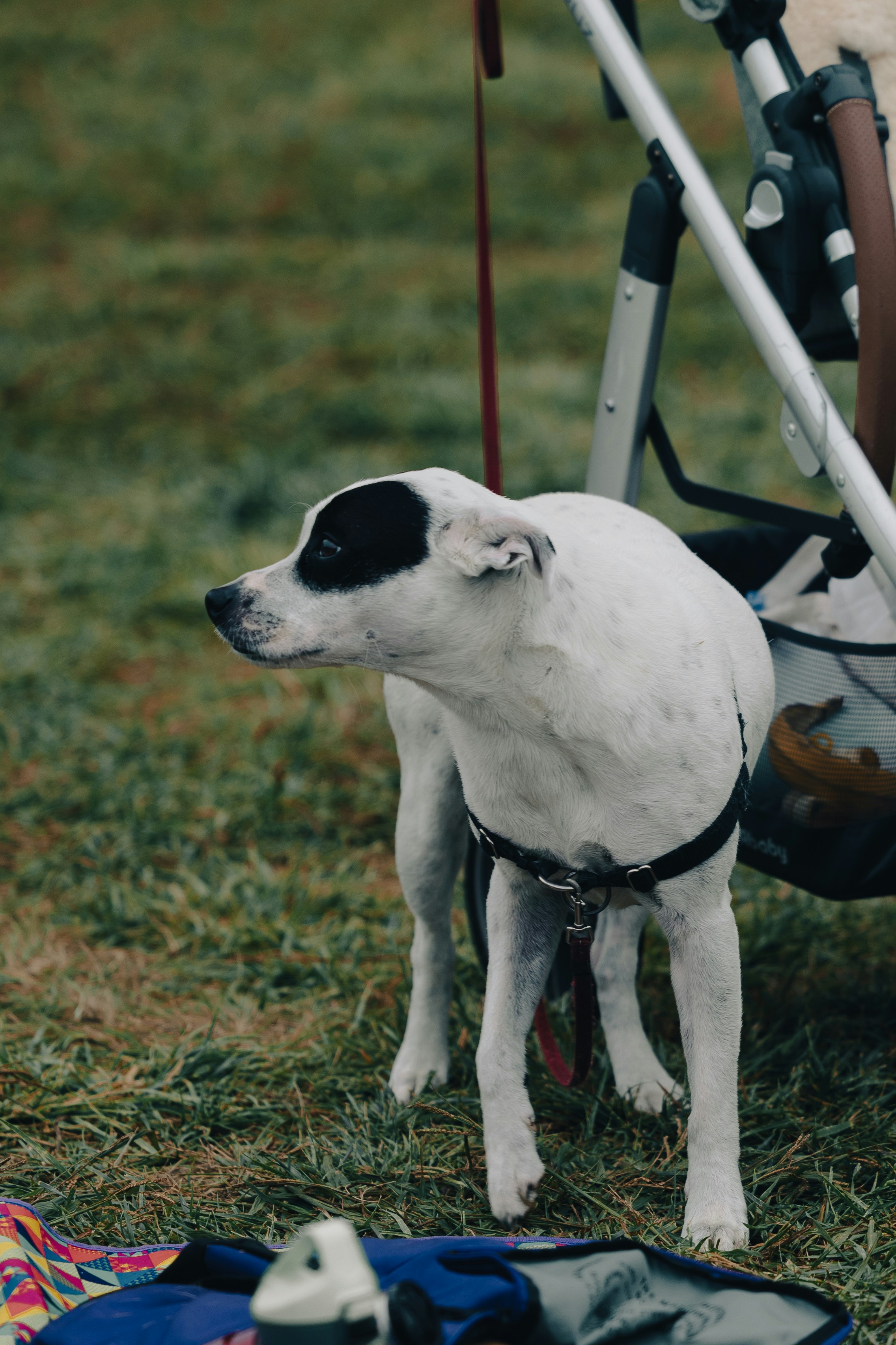 Photo by michaeltang