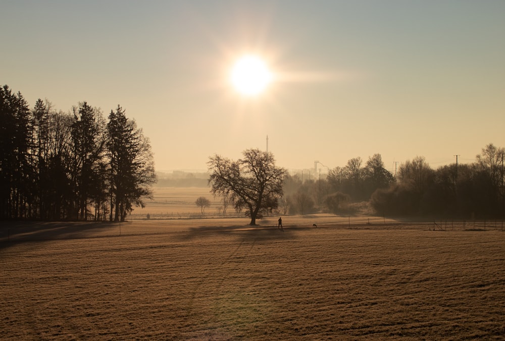 the sun shines brightly over a snowy field