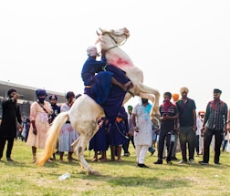 A group of people stands around a man skillfully riding a rearing white horse. The rider is dressed in traditional attire, adorned in blue, and several onlookers are watching the spectacle. Many people in the group are wearing turbans, and some have colorful patterns on their clothing, indicative of celebration or cultural event. There’s green grass underfoot and clear skies above, suggesting a daytime outdoor setting.