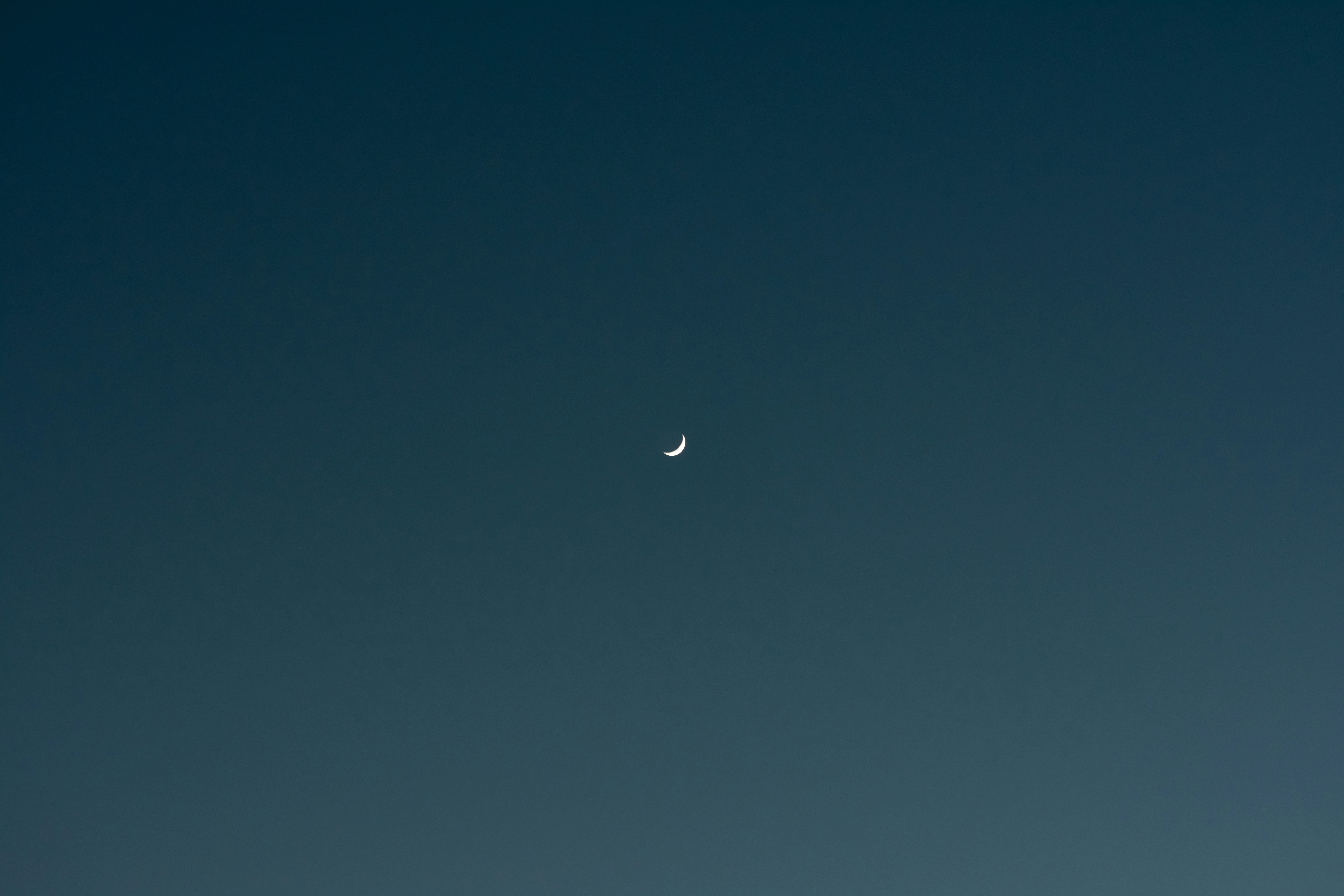 Photo by therealslkhv