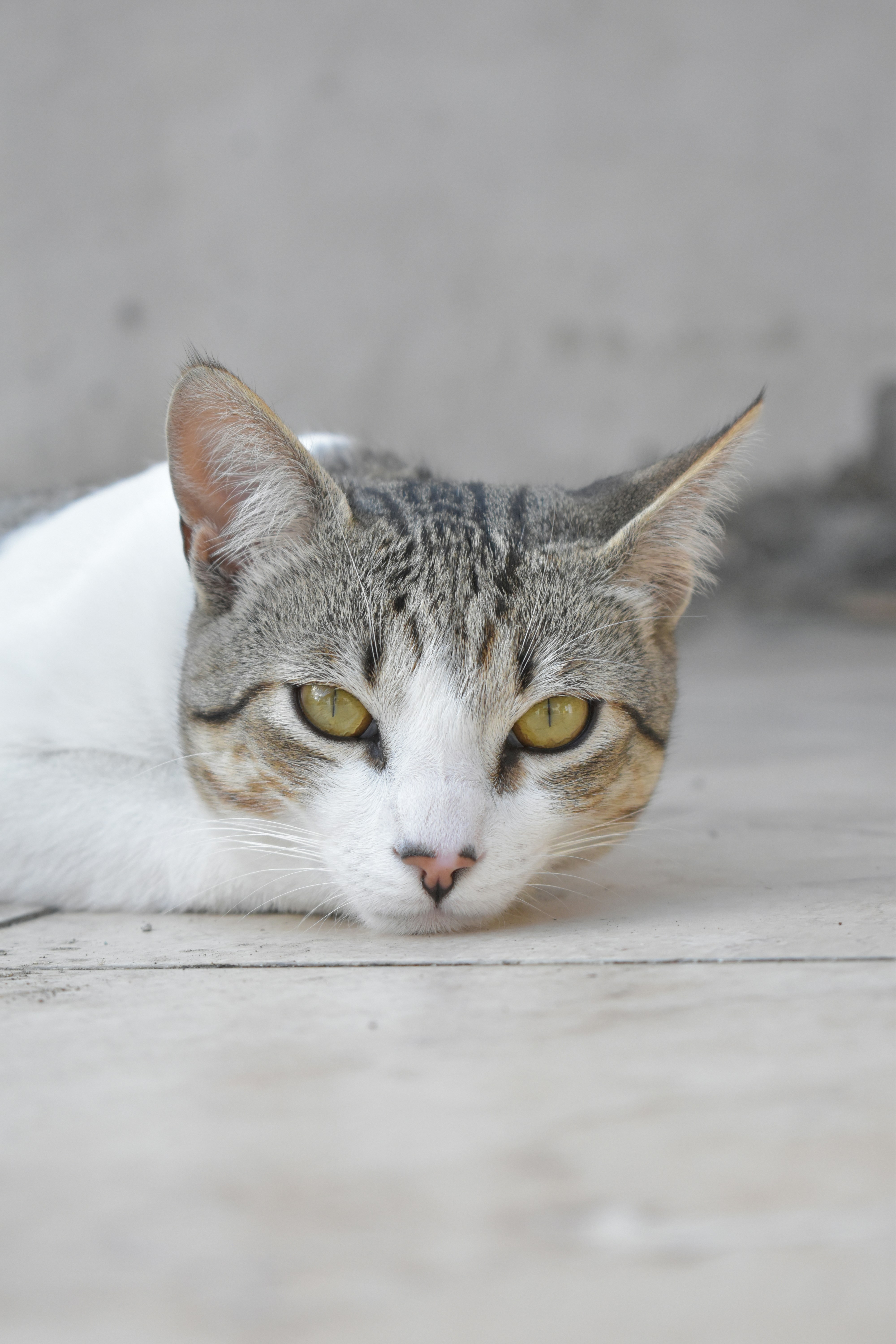 Photo by irinainga05