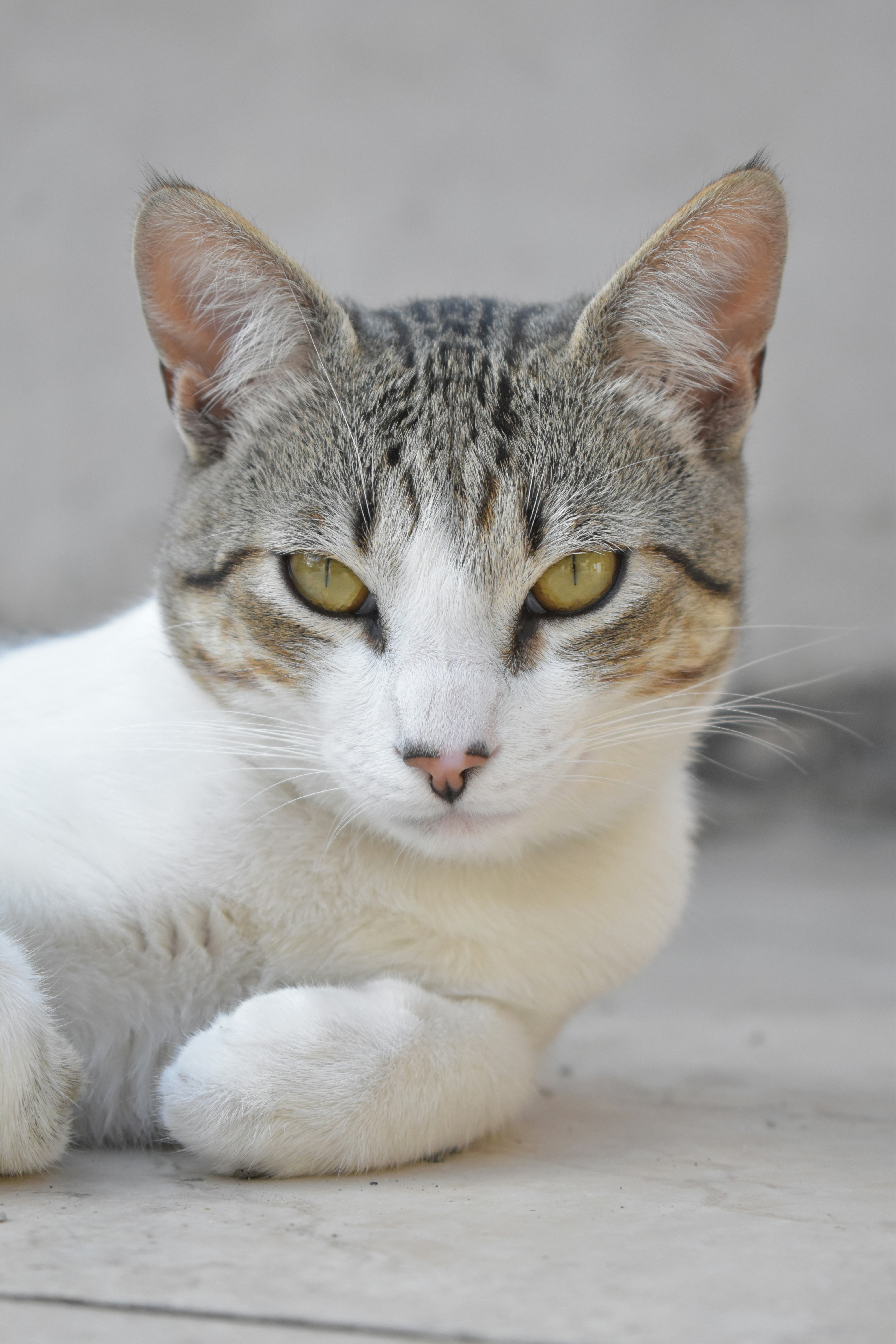 Photo by irinainga05