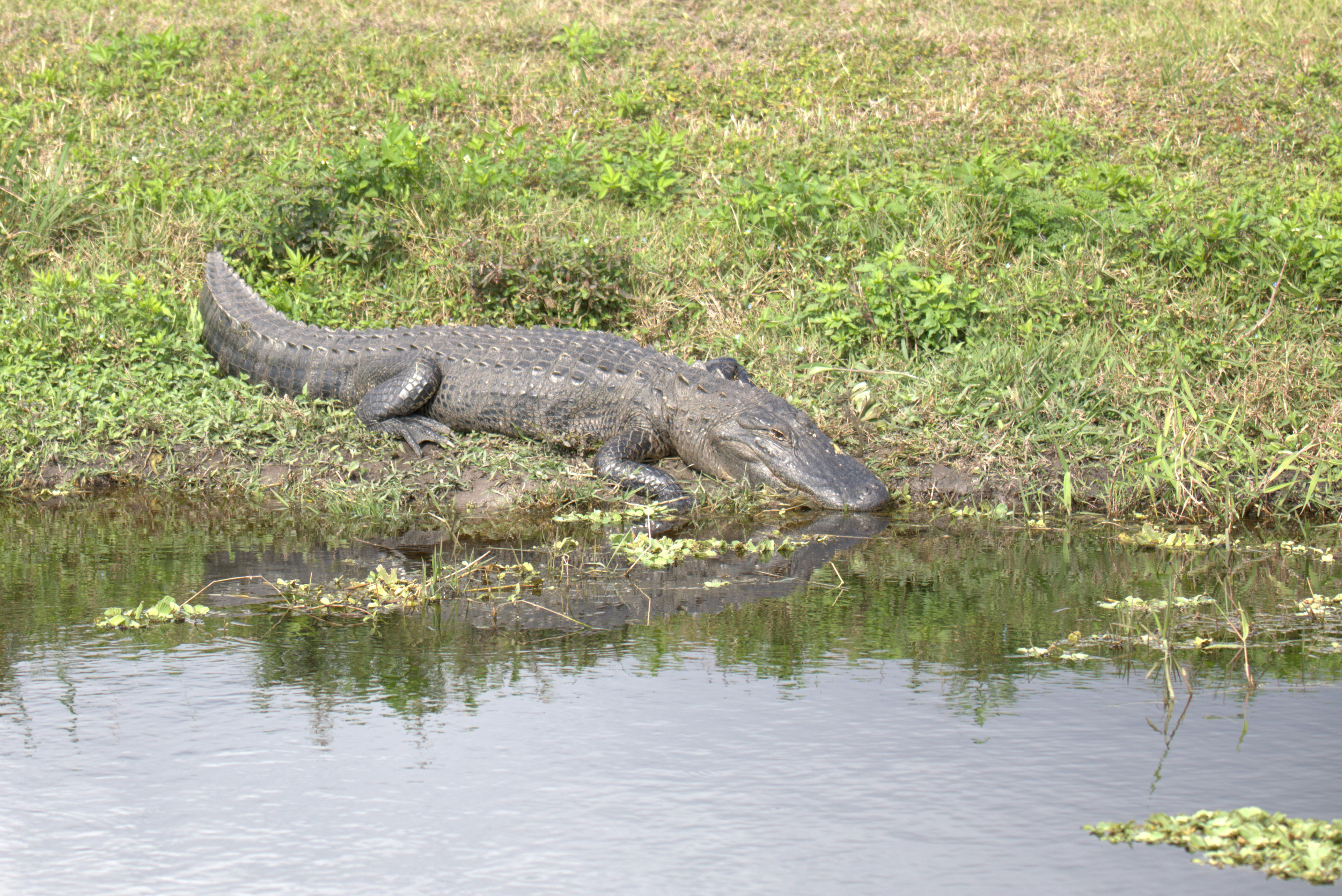 Photo by dpreacherdawn