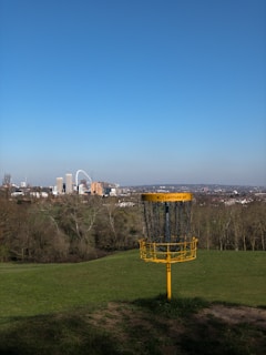 A disc golf basket with chains is situated in an open, grassy field. In the background, there is a large urban skyline with several tall buildings and notable landmarks. The sky above is clear and blue.