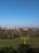 A disc golf basket with chains is situated in an open, grassy field. In the background, there is a large urban skyline with several tall buildings and notable landmarks. The sky above is clear and blue.