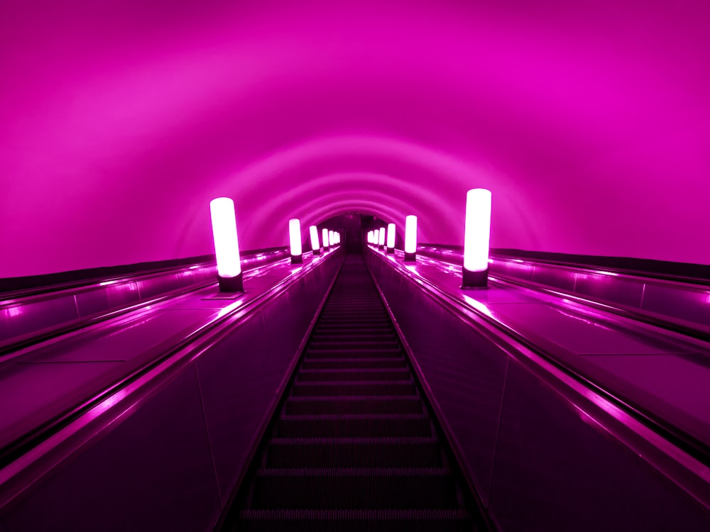 A purple tunnel with stairs leading up to it photo – Free Lighting ...